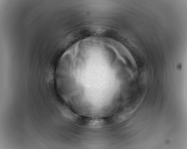 X0000100960274200807081248