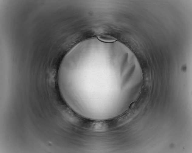 X0000100960275200807081248