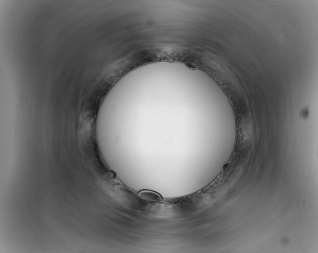 X0000100960276200807081248