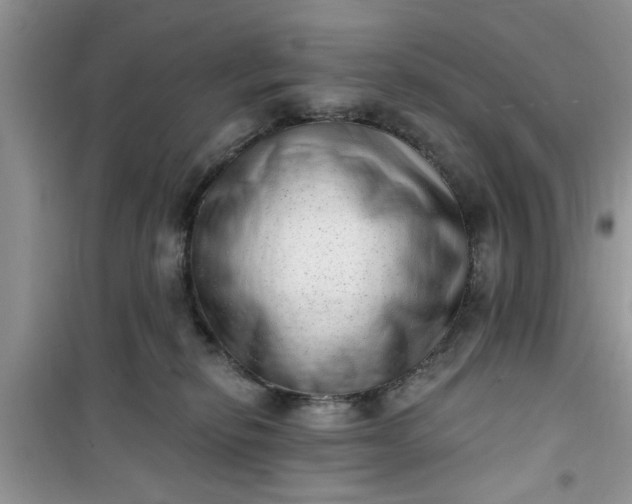 X0000100960278200807081248