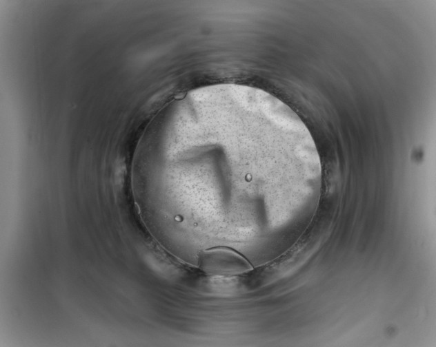 X0000100960279200807081248