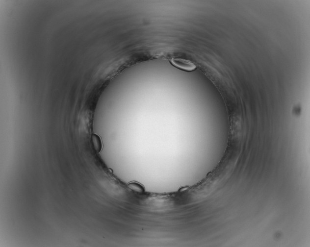 X0000100960280200807081248