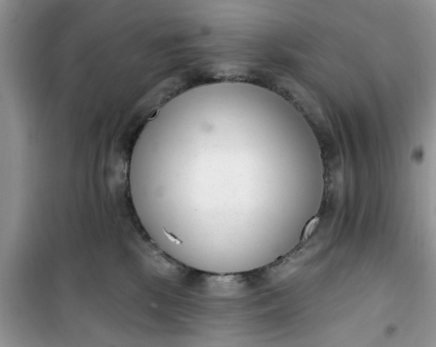 X0000100960281200807081249