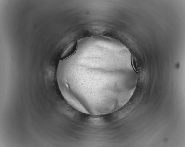 X0000100960283200807081249