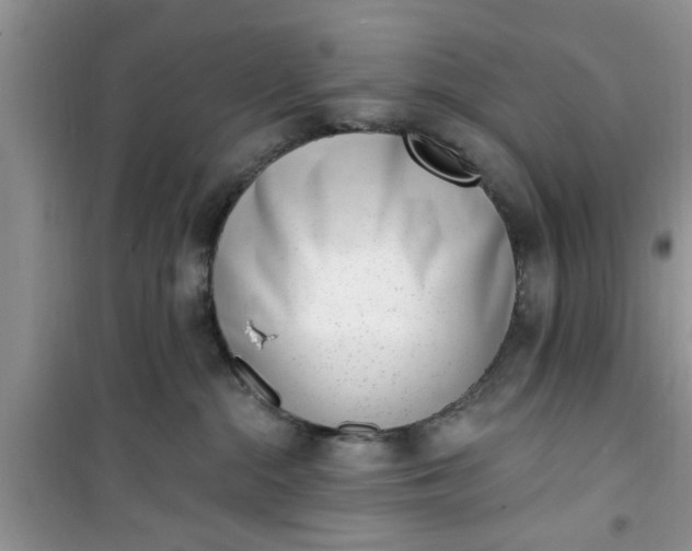 X0000100960284200807081249