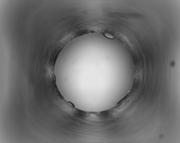 X0000100960285200807081249