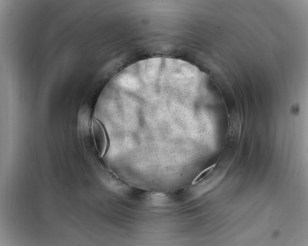 X0000100960287200807081249