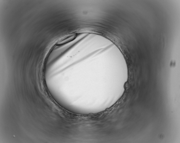 X0000100960289200807081248