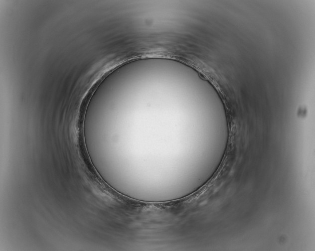 X0000100960290200807081248