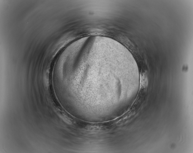 X0000100960291200807081248