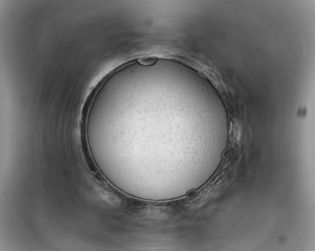 X0000100960292200807081248