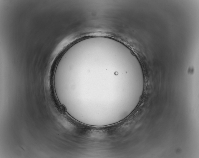 X0000100960296200807081248