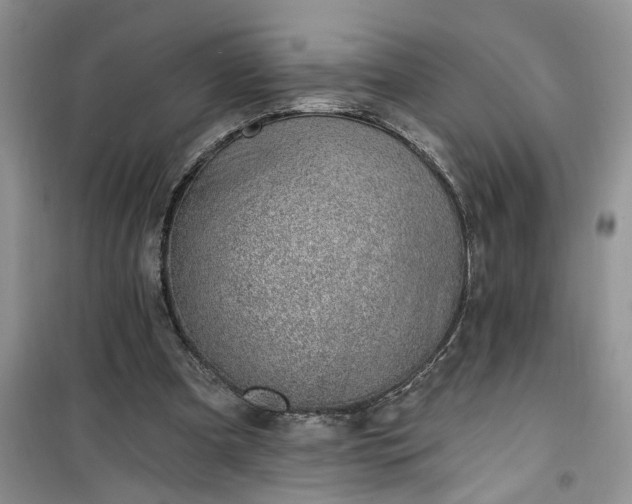 X0000100960297200807081248