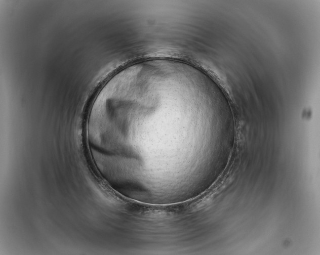 X0000100960298200807081248