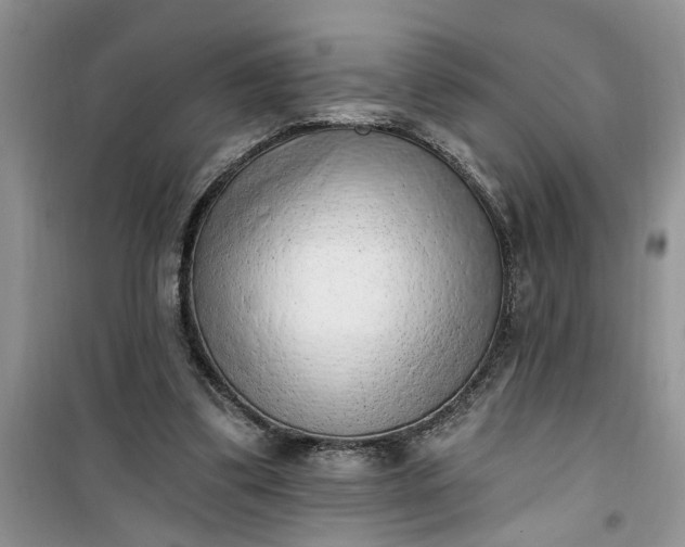 X0000100960299200807081248