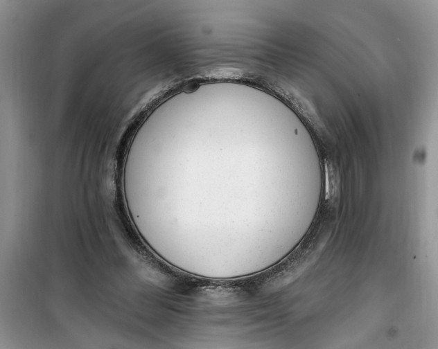 X0000100960300200807081248