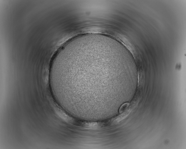 X0000100960301200807081248