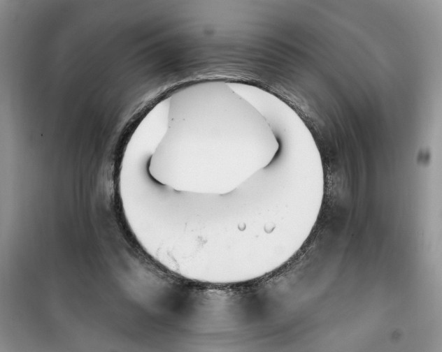 X0000100960302200807081248