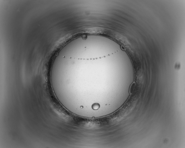 X0000100960303200807081248