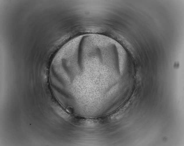 X0000100960305200807081248