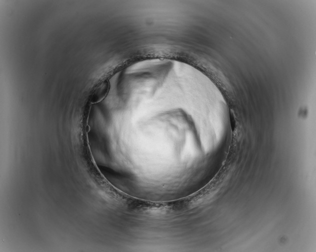 X0000100960306200807081248