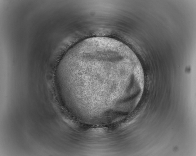 X0000100960307200807081248