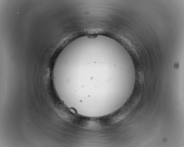 X0000100960308200807081248