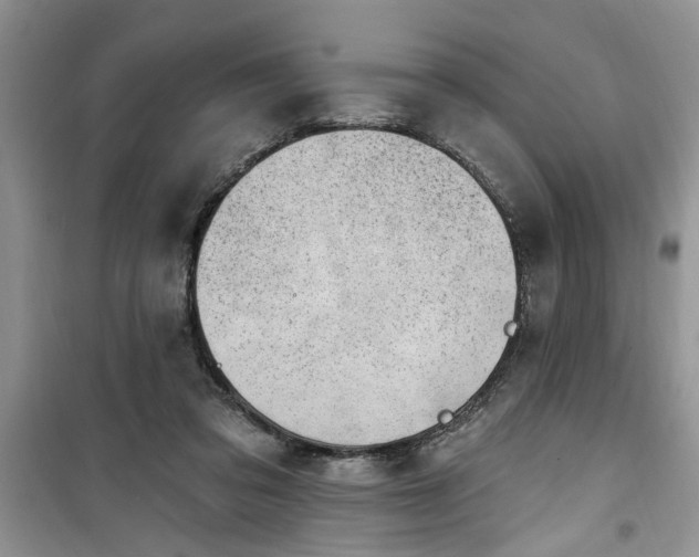 X0000100960309200807081248