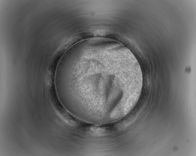 X0000100960311200807081248