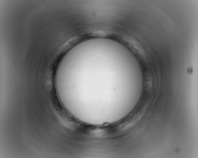 X0000100960312200807081248