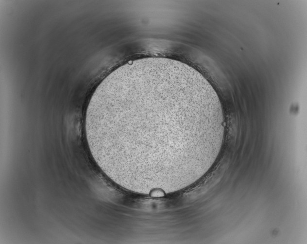 X0000100960313200807081248