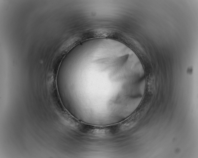 X0000100960314200807081248