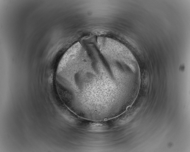 X0000100960315200807081248