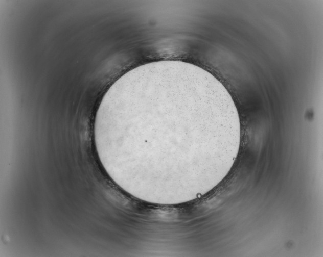 X0000100960317200807081247