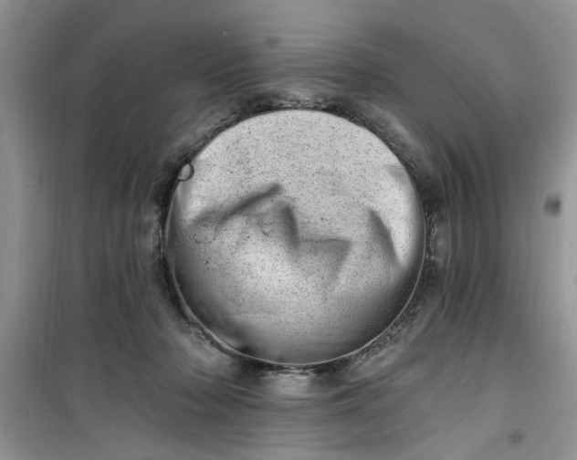 X0000100960318200807081247