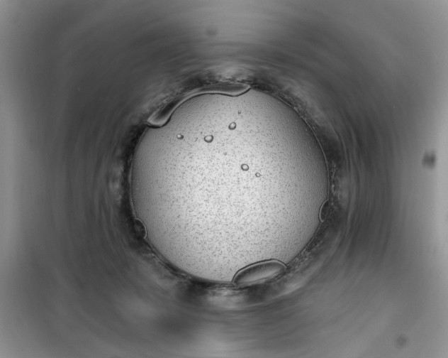 X0000100960319200807081247