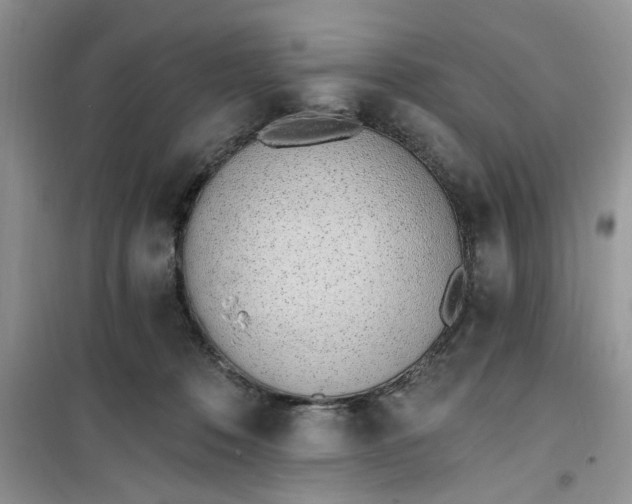 X0000100960320200807081247