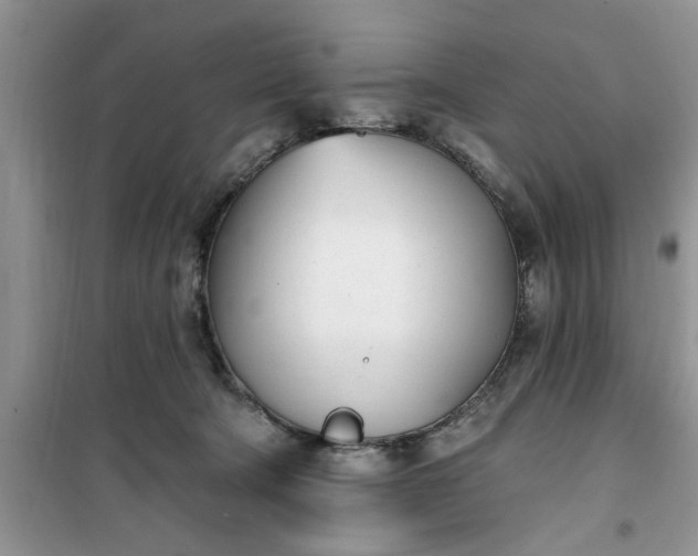 X0000100960322200807081247