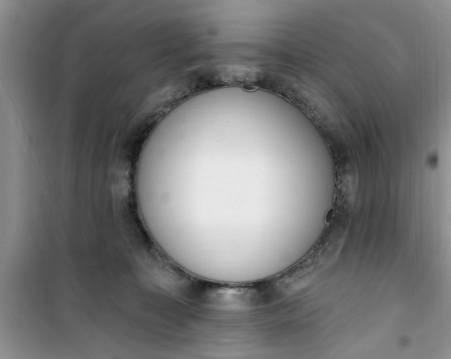 X0000100960323200807081247