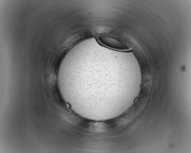 X0000100960324200807081247