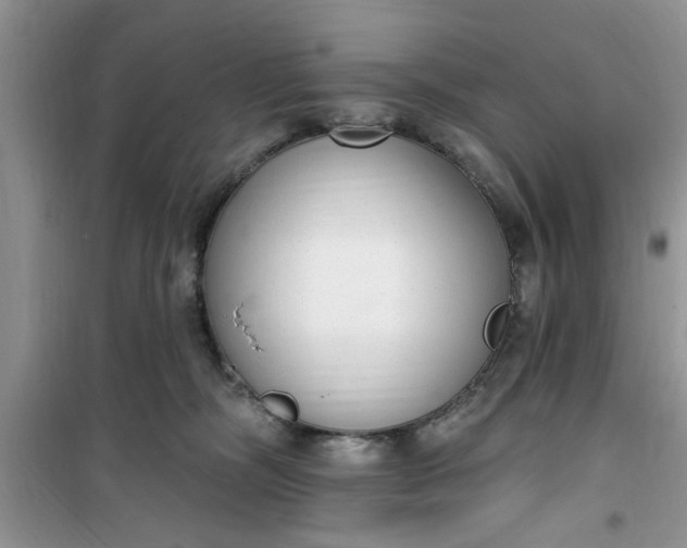 X0000100960326200807081247