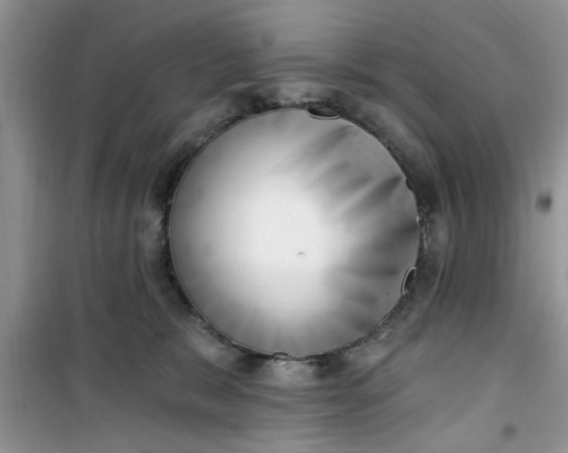 X0000100960327200807081247