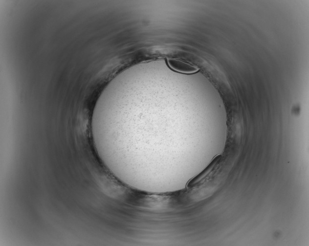 X0000100960328200807081247