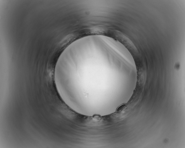 X0000100960329200807081247