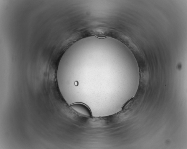 X0000100960331200807081247