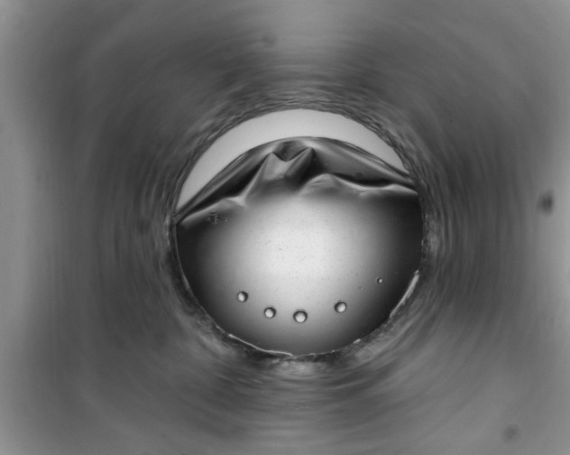 X0000100960332200807081247