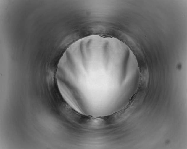 X0000100960333200807081247