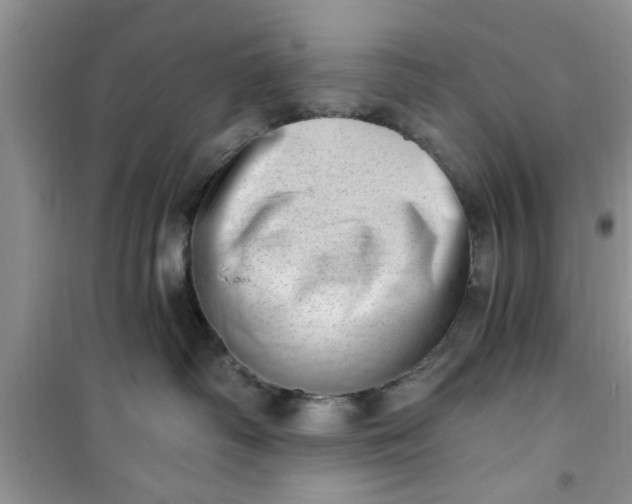 X0000100960334200807081247