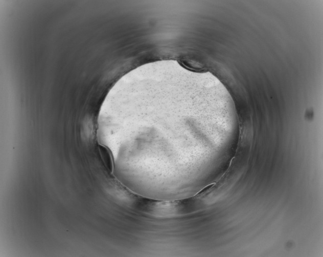 X0000100960335200807081247