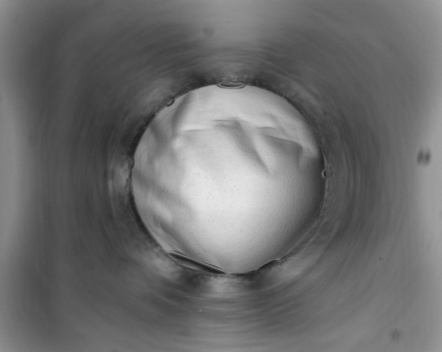 X0000100960336200807081247